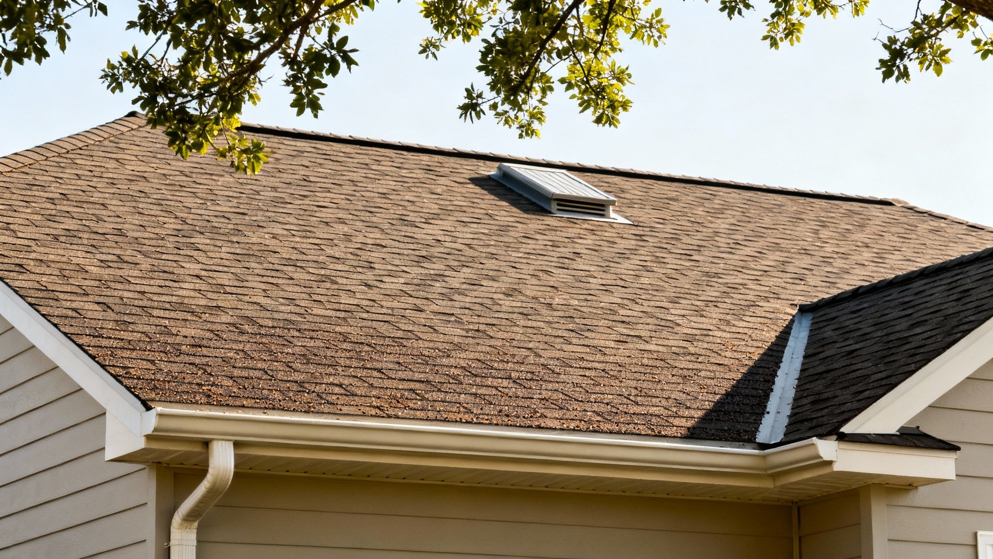 A clean, well-maintained roof with trimmed tree branches and clear gutters.